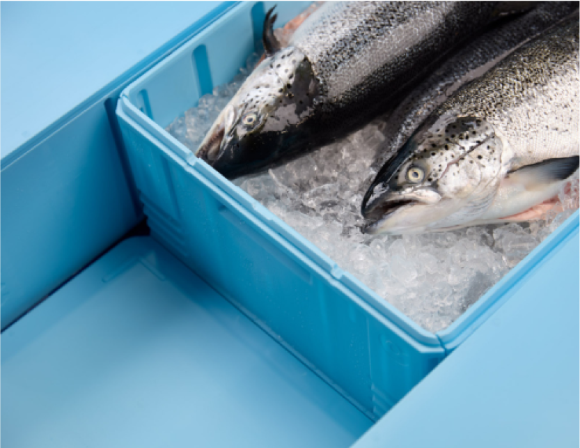 Ombruksutfordreren CIRCMAR er med i Emballasjeforeningen!